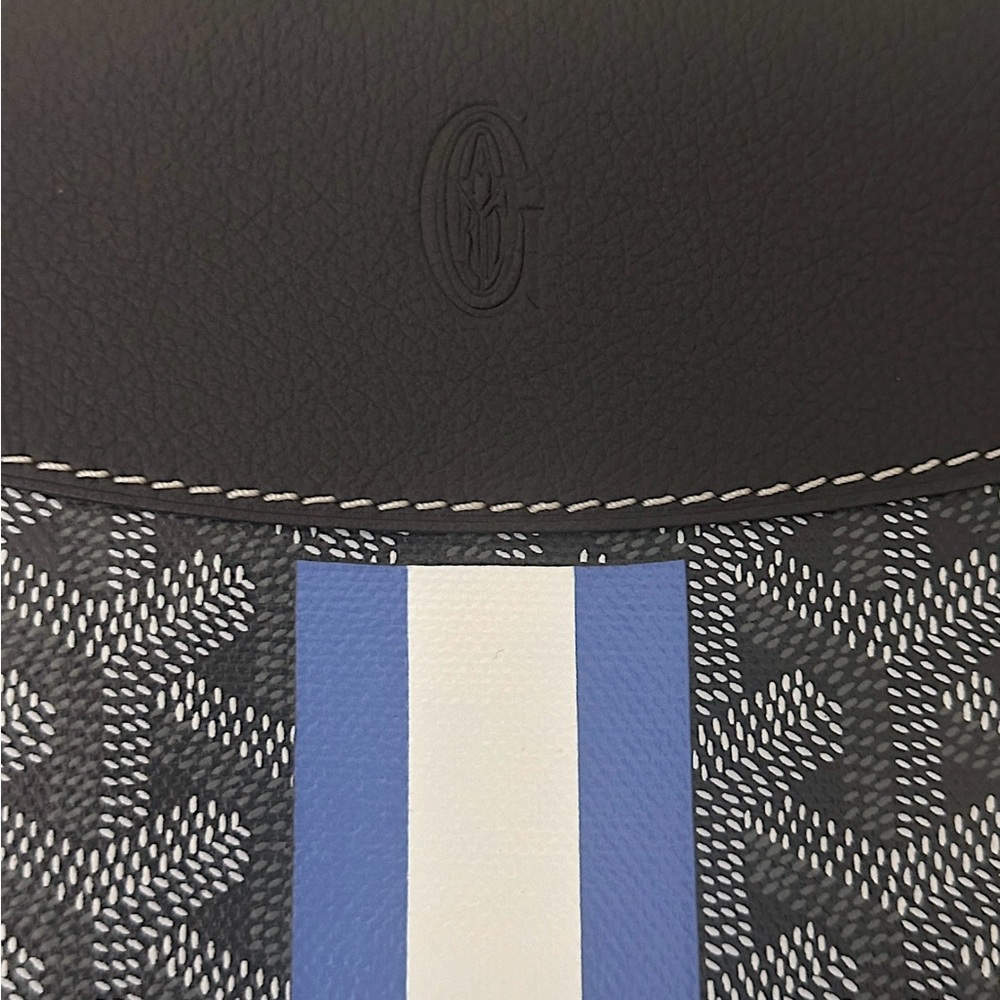 Goyard Hirondelle Limited Stripe Bag - Picture 2 of 12